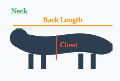 Dog measurement diagram
